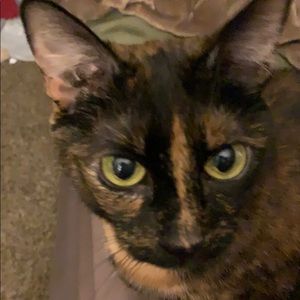 Meet your Posher, Mar-jo